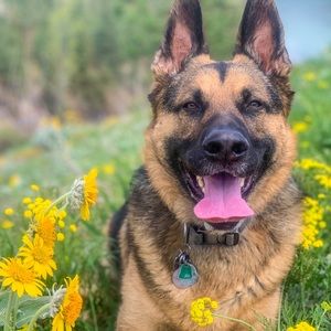 Meet your Posher, Krystal